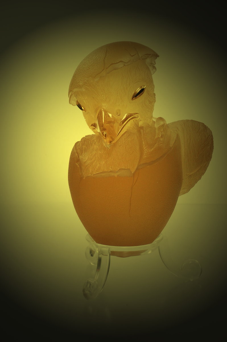 baby falcon  citrine egg